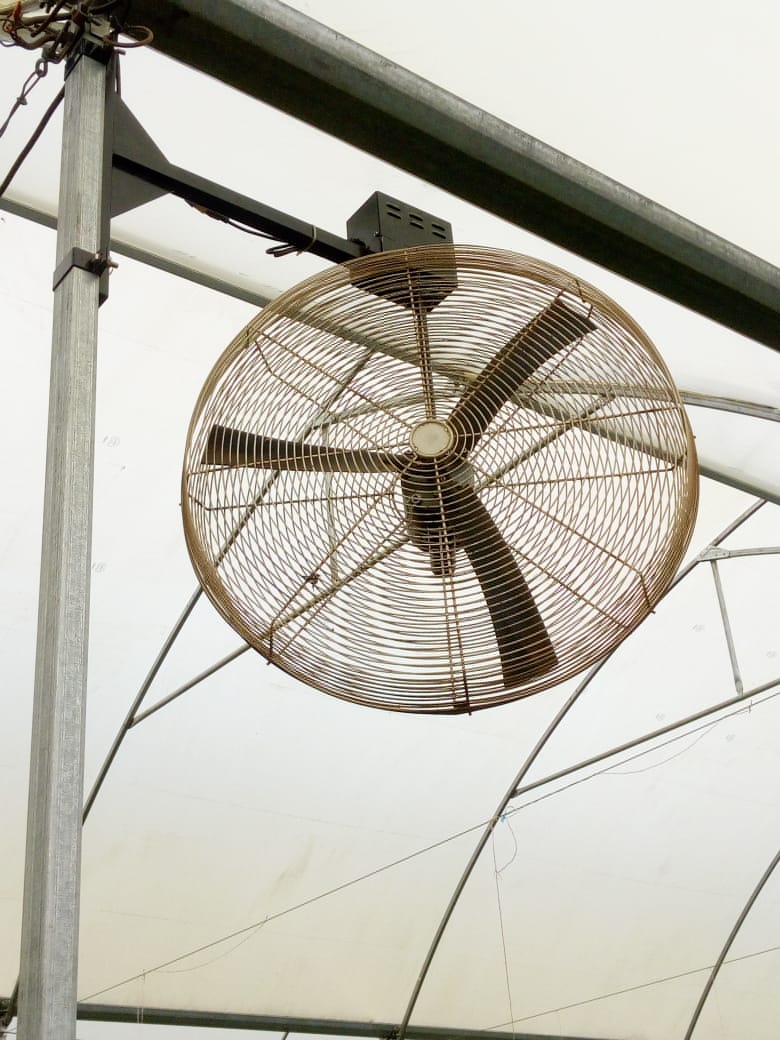 Agricultural Green House Fans